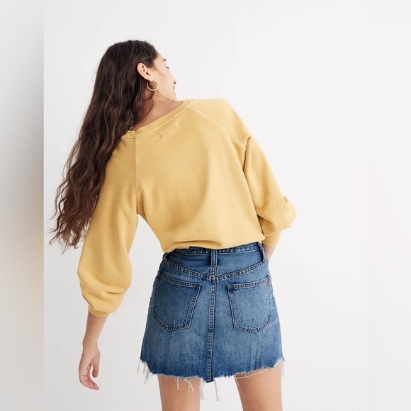 Madewell Rigid Denim A-Line Mini Skirt in Hughes Wash: Button-Front Edition 27 - Picture 3 of 16